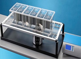 ZH-200足底測痛儀